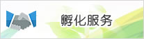 孵化服务